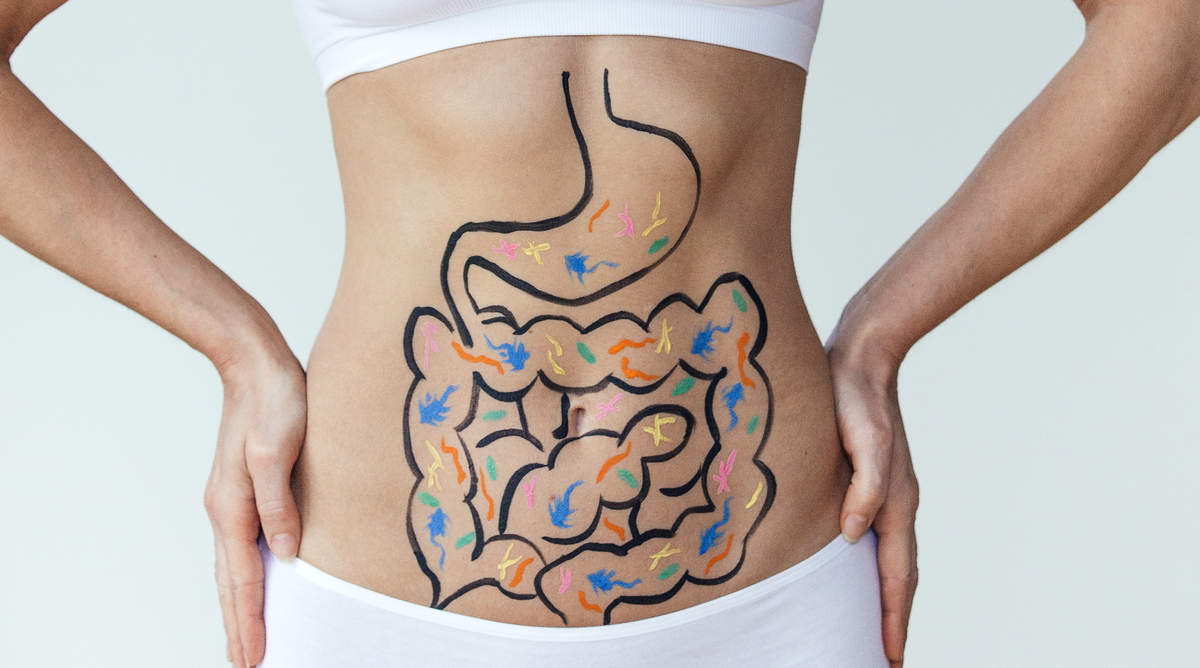 Healthy Digestive Track prendre soin de ses intestins