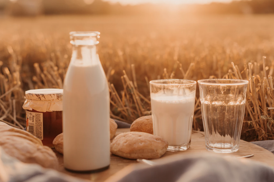 le lactose c'est quoi
