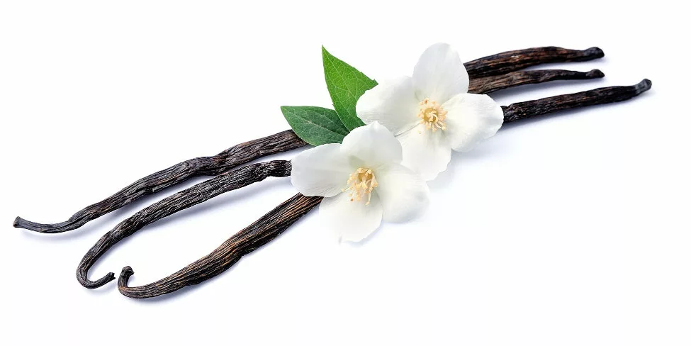 recette eau aromatisée
