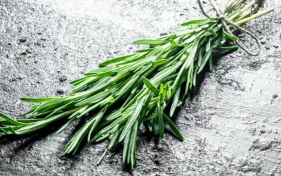 Les 11 meilleurs anti-inflammatoires naturels à posséder