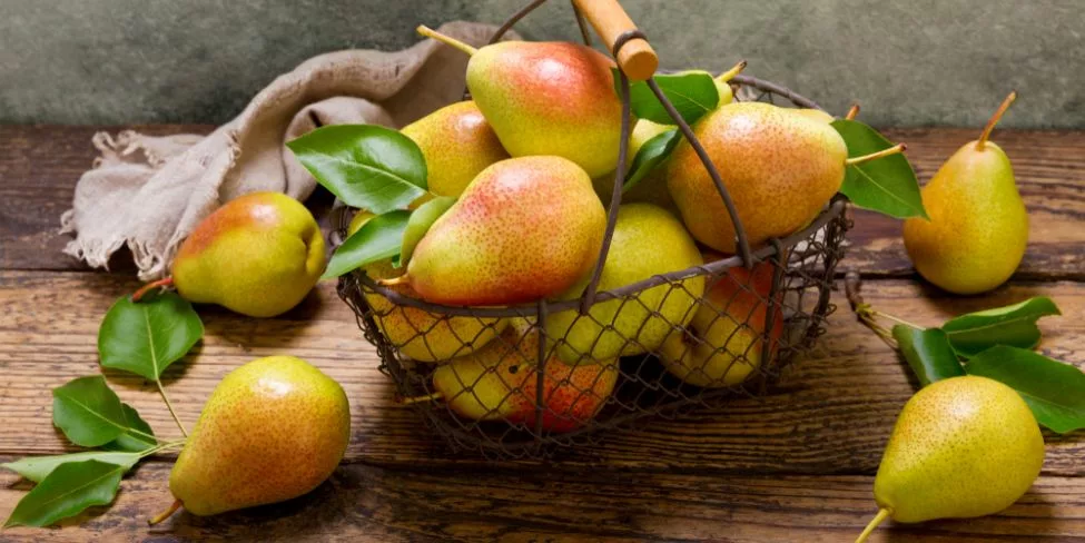 quel fruit manger quand on est diabétique