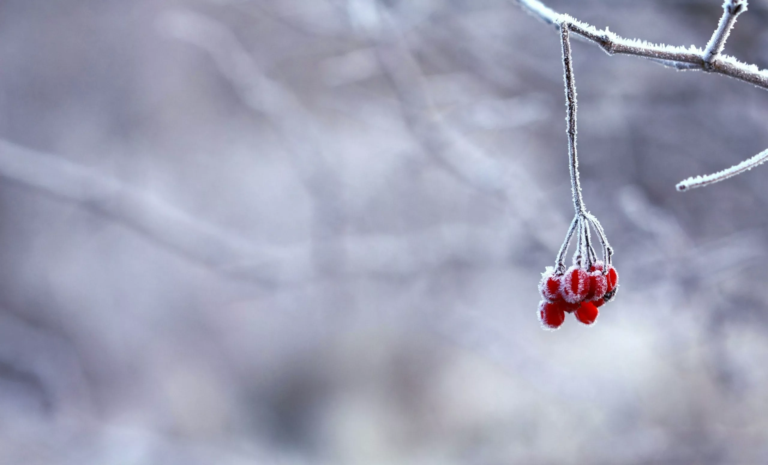 Préparer son corps pour l’hiver Nutrition: l'alimentation pour préparer sa santé pour l'hiver