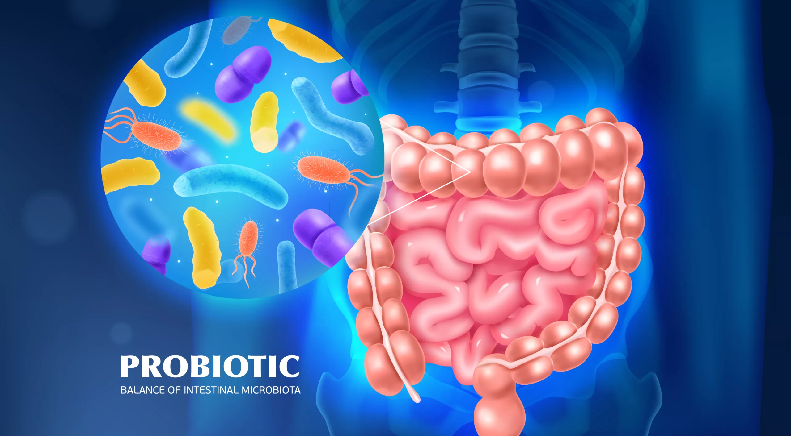 Microbiote c’est quoi Microbiota probiotique nutritionniste intestin