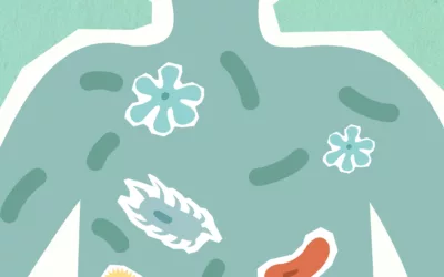 Microbiote intestinal et santé