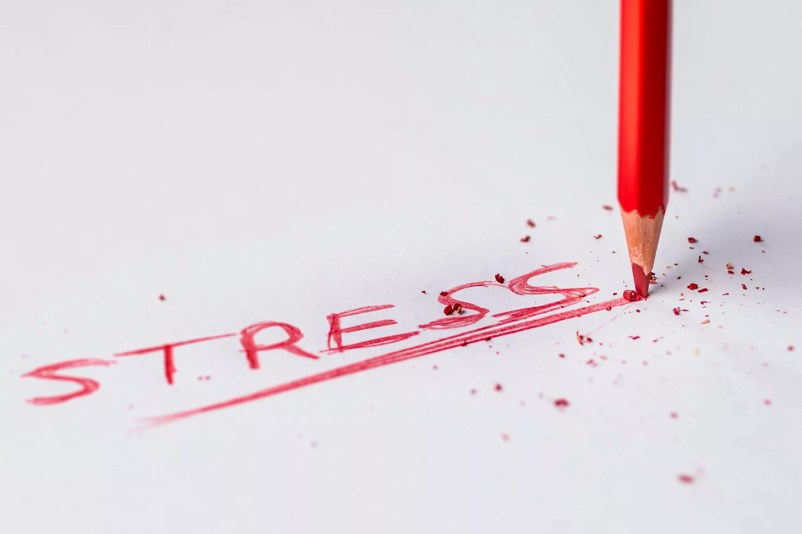 Comment le stress impacte le poids : prévenir ses effets sur la santé et accompagnement personnalisé avec PASCAL NOURTIER, NUTRITIONNISTE à BREST, QUIMPER, PARIS.