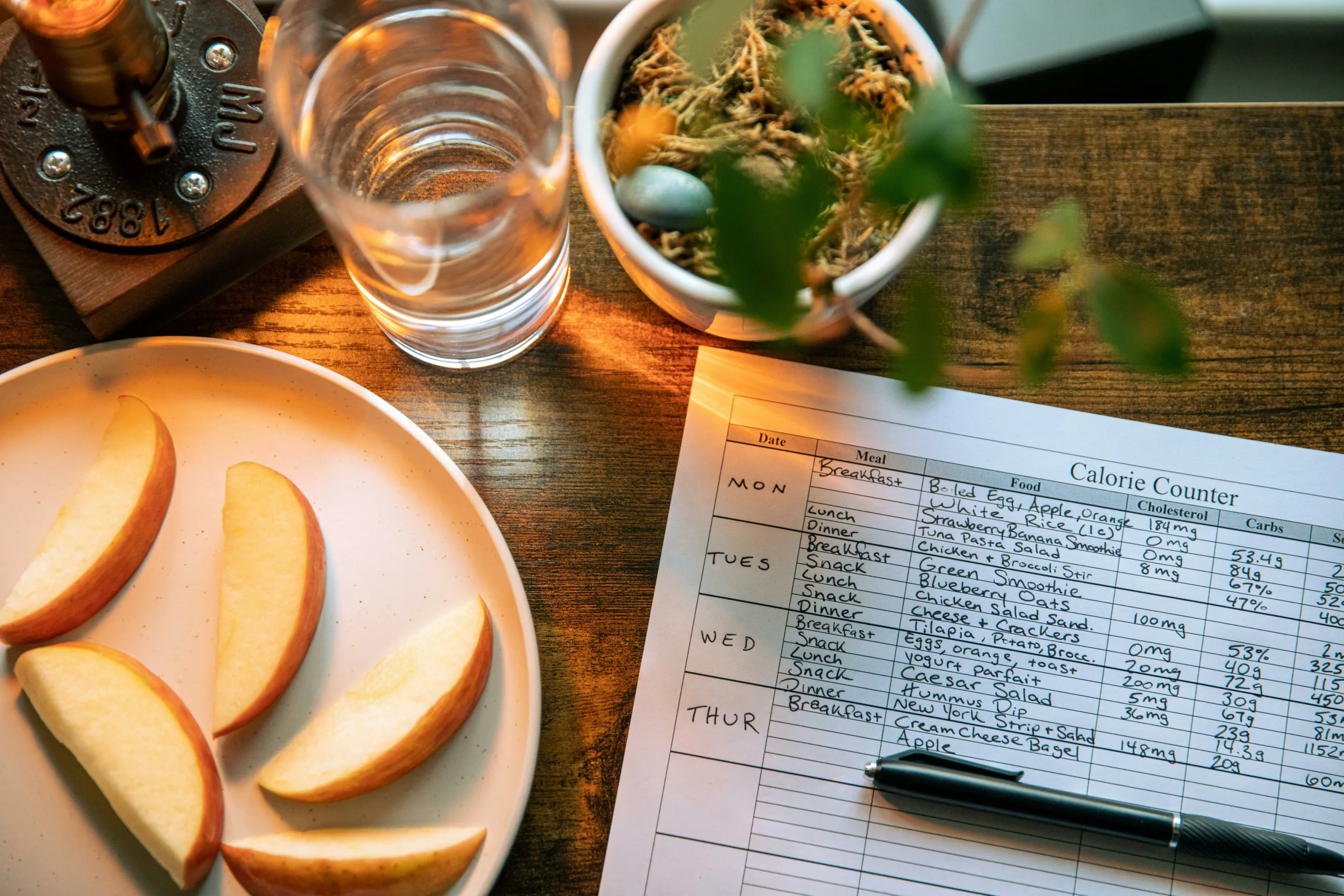 Journal émotionnel et alimentaire : rôle, conseils et accompagnement personnalisés avec PASCAL NOURTIER, NUTRITIONNISTE A BREST, QUIMPER, PARIS.