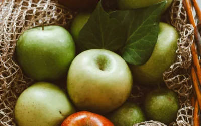 Polyphénols des pommes bretonnes et algues 