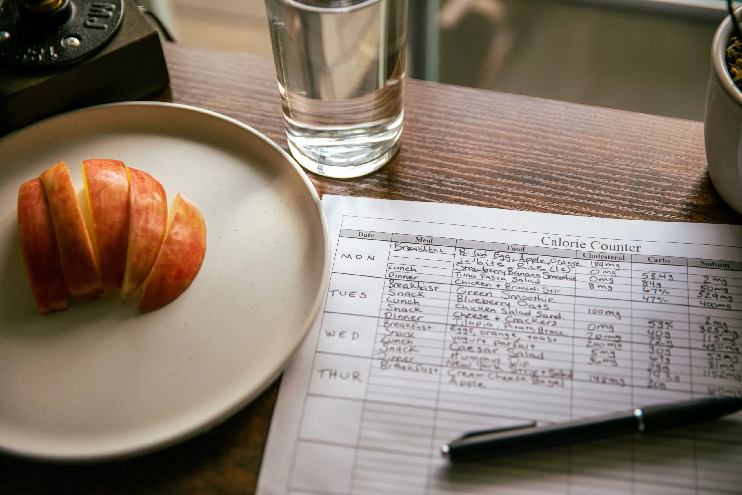 Planifier ses repas pour éviter les tentations avec les conseils et le suivi personnalisé de PASCAL NOURTIER, NUTRITIONNISTE à QUIMPER, BREST, PARIS.