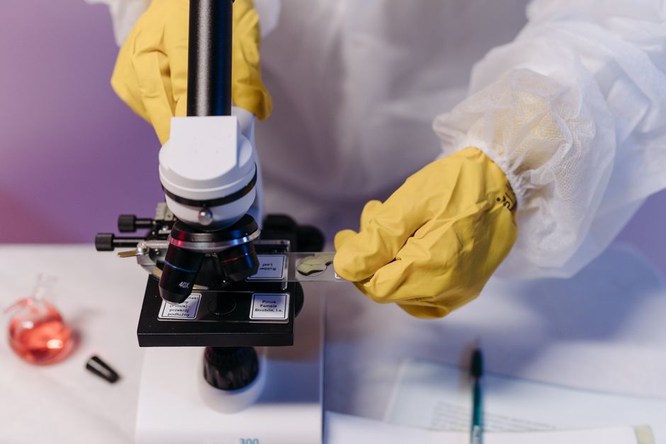 Les analyses biologiques utiles en micronutrition – consultation nutritionniste