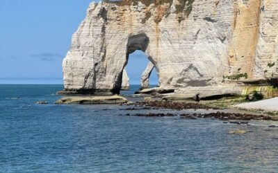 Réduire le stress oxydatif naturellement